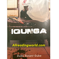 IQunga by Dudu Busani-Dube PDF & EPUB