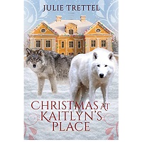 Christmas at Kaitlyn’s Place by Julie Trettel EPUB & PDF