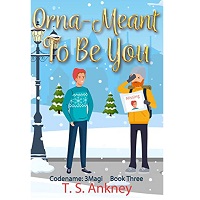 Orna-Meant To Be You by T.S. Ankney EPUB & PDF