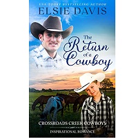 The Return of a Cowboy by Elsie Davis EPUB & PDF