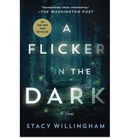 A Flicker in the Dark by Stacy Willingham EPUB & PDF