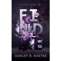 Find Me by Ashley N. Rostek EPUB & PDF