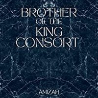 Brother of The King Consort by Amizah R EPUB & PDF