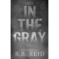 In the Gray by B.B. Reid EPUB & PDF