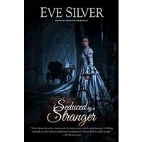 Seduced by a Stranger by Eve Silver EPUB & PDF