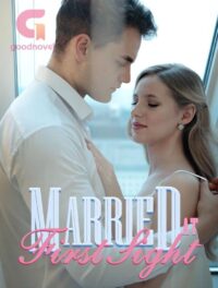 Married At First Sight Novel Synopsis by Gu Lingfei PDF