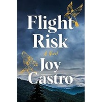 Flight Risk by Joy Castro EPUB & PDF