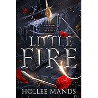 Little Fire by Hollee Mands EPUB & PDF