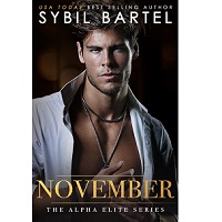 November by Sybil Bartel EPUB & PDF