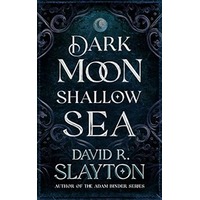 Dark Moon, Shallow Sea by David R. Slayton EPUB & PDF
