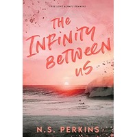 The Infinity Between Us by N.S. Perkins EPUB & PDF