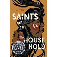 Saints of the Household by Ari Tison EPUB & PDF