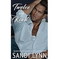 Twelve of a Kind by Sandi Lynn EPUB & PDF