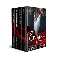 Enigma by Shandi Boyes EPUB & PDF