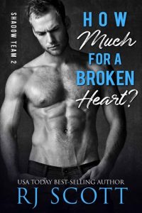 How Much For A Broken Heart? (SHADOW TEAM #2) by RJ Scott EPUB & PDF