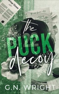 The Puck Decoy (FAIRFIELD U #2) by G.N. Wright EPUB & PDF