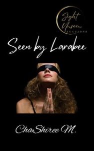 SEEN BY LARABEE (SIGHT UNSEEN AUCTIONS #1) BY CHASHIREE M. EPUB & PDF