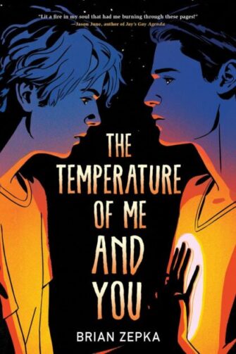 The Temperature of Me and You by Brian Zepka EPUB & PDF
