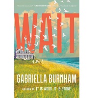 Wait by Gabriella Burnham EPUB & PDF