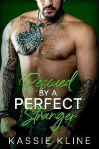 Rescued By A Perfect Stranger (BEARBERRY BAY: RESCUE #4) by Kassie Kline EPUB & PDF