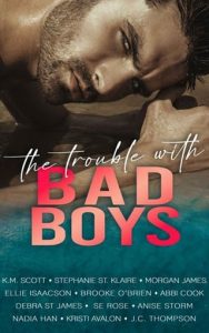The Trouble With Bad Boys by Morgan James, ET AL EPUB & PDF