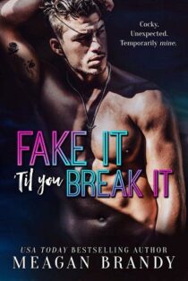 Fake It ‘Til You Break It by Meagan Brandy EPUB & PDF