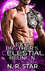 Ex’s Brother’s Celestial Reunion (NEBULA HEARTS MATES CHRONICLES #2) by N. R. Star EPUB & PDF