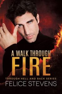 A Walk Through Fire by Felice Stevens EPUB & PDF