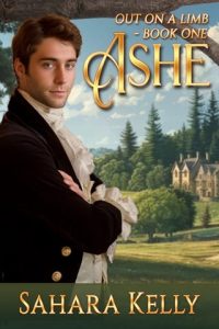 Ashe by Sahara Kelly EPUB & PDF