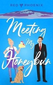 Meeting My Honeybun (The Brothers Macallan #2) by Red Phoenix EPUB & PDF