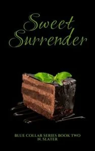 Sweet Surrender by N. Slater EPUB & PDF