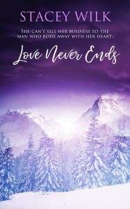 Love Never Ends by Stacey Wilk EPUB & PDF