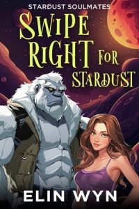 Swipe Right for Stardust by Elin Wyn EPUB & PDF