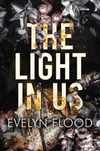 The Light in Us by Evelyn Flood EPUB & PDF