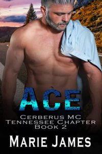 Ace by Marie James EPUB & PDF