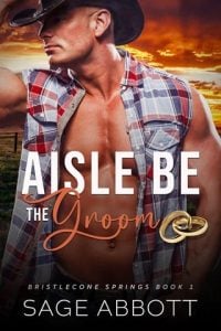 Aisle Be The Groom by Sage Abbott EPUB & PDF