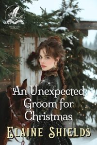 An Unexpected Groom for Christmas by Elaine Shields EPUB & PDF