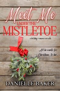 Meet Me Under the Mistletoe by Danielle Baker EPUB & PDF