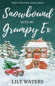 Snowbound With My Grumpy Ex by Lily Waters EPUB & PDF