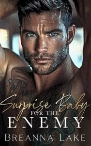 Surprise Baby for the Enemy (Warwicks #2) by Breanna Lake EPUB & PDF